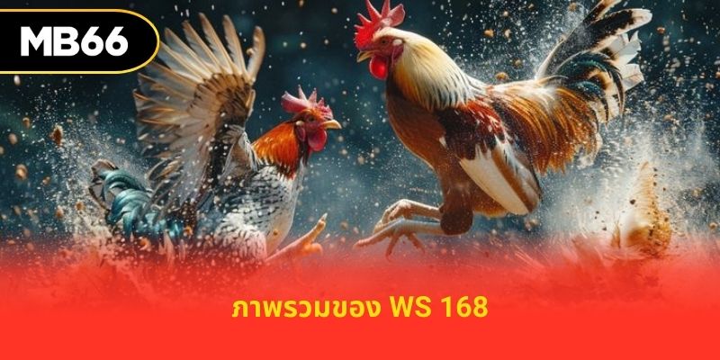 ภาพรวมของ WS 168