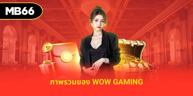 ภาพรวมของ Wow Gaming