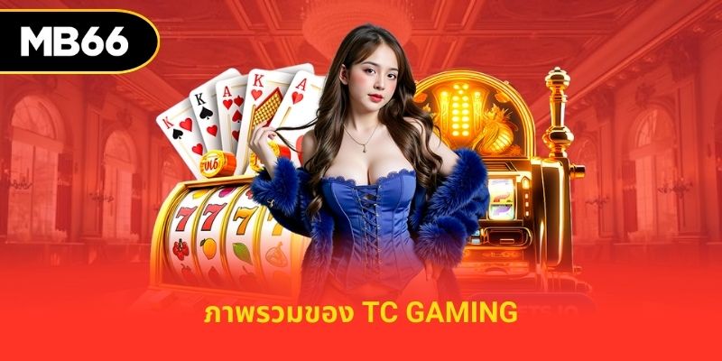 ภาพรวมของ tc gaming